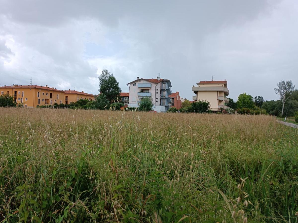 Casa Degli Aromi Apartment Lucca Bagian luar foto