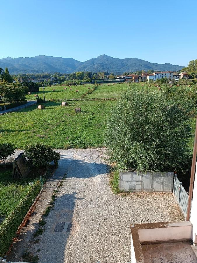 Casa Degli Aromi Apartment Lucca Bagian luar foto