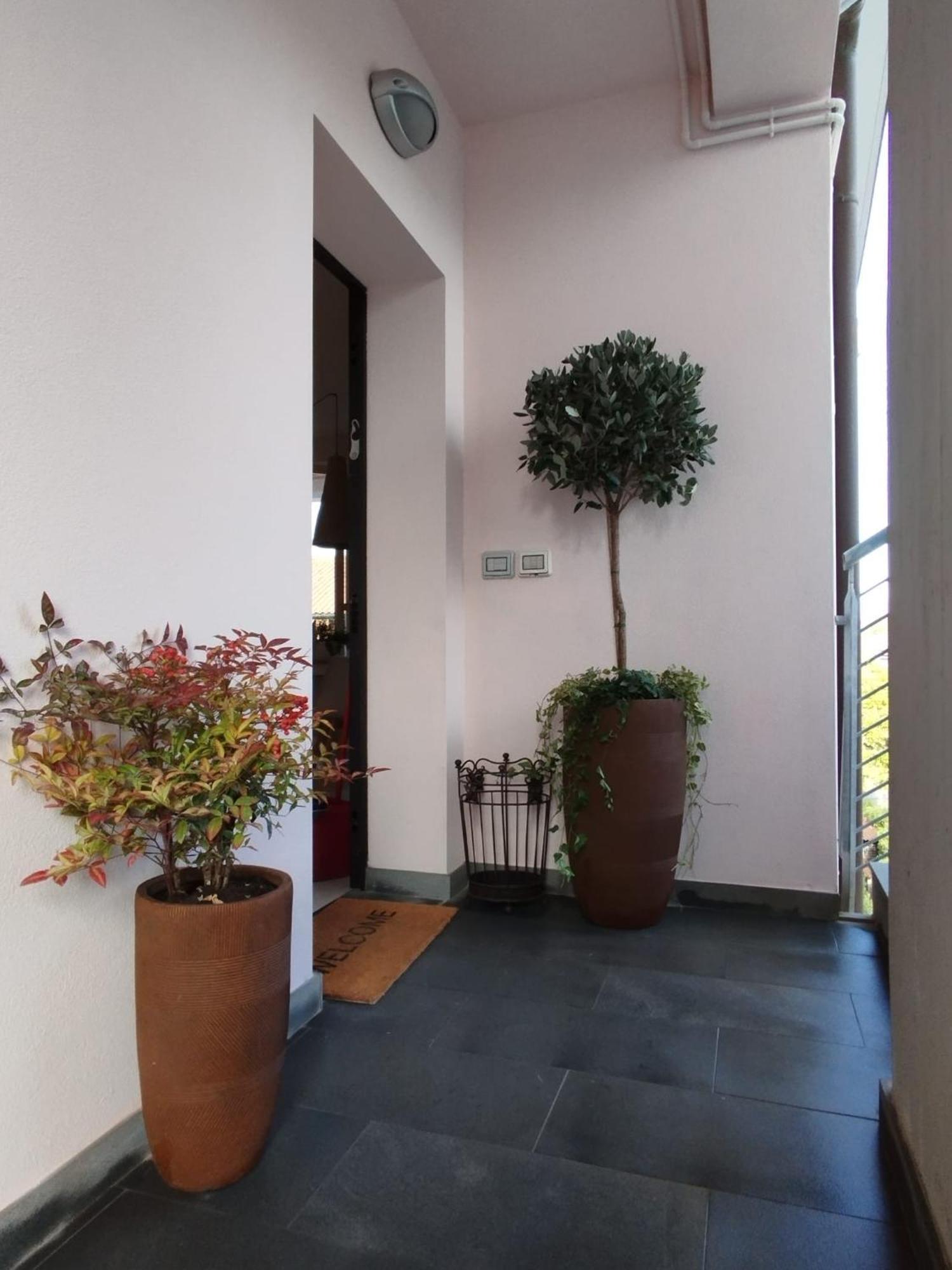 Casa Degli Aromi Apartment Lucca Bagian luar foto